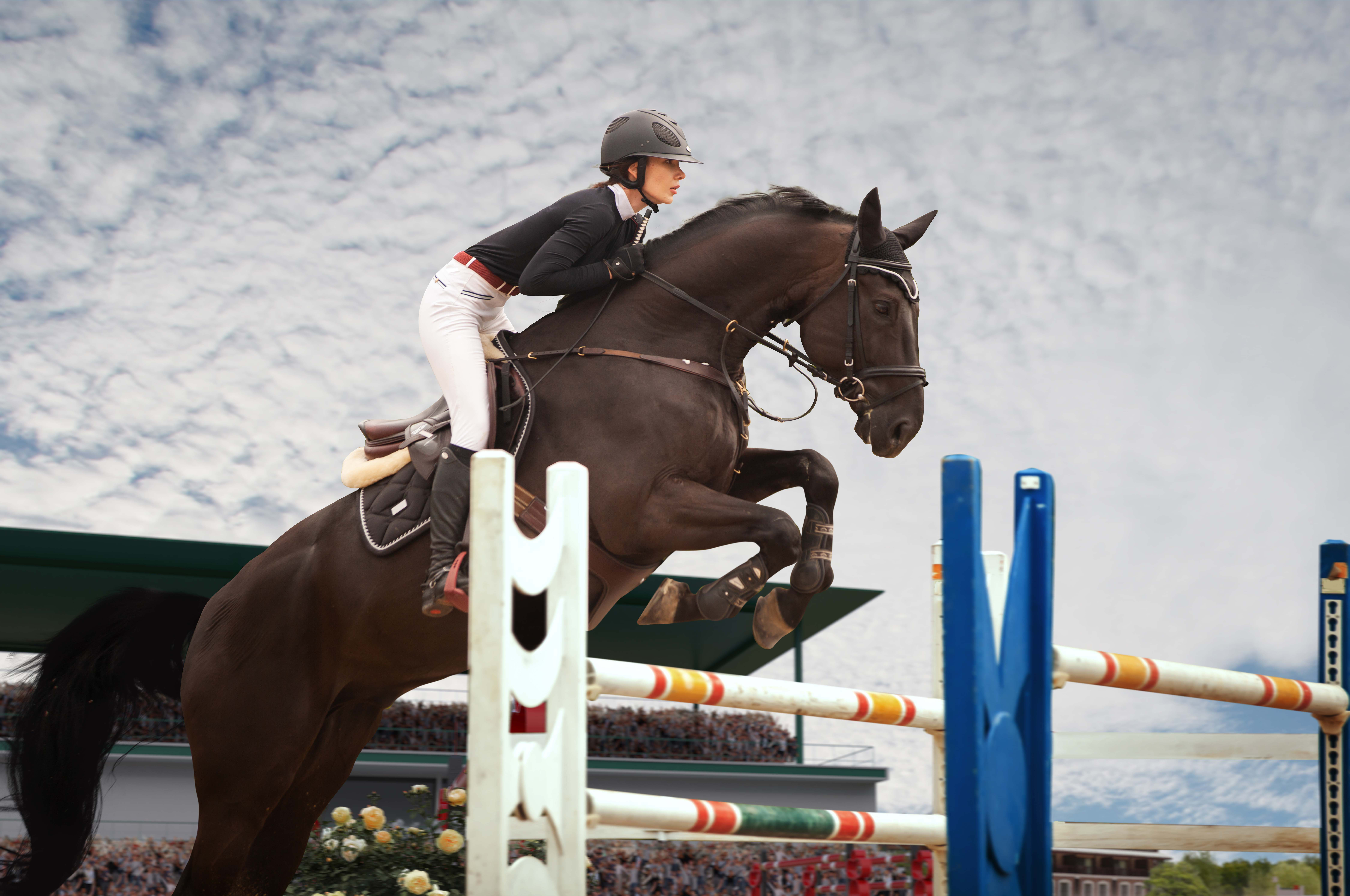 OFF TRACK BETTING